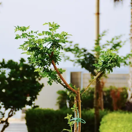 Apartmanhotel Caposud And Club 3*