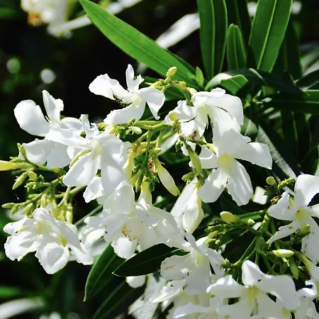 Apartmanhotel Caposud And Club Ispica