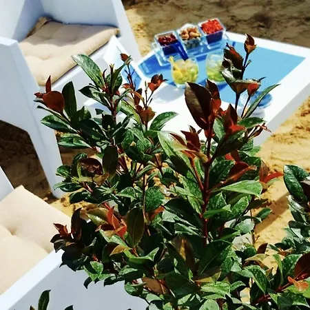 Apartmanhotel Caposud And Club 3*