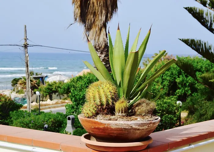 Caposud And Club 3*