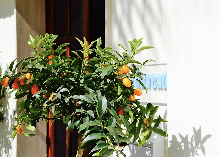Caposud And Club 公寓式酒店